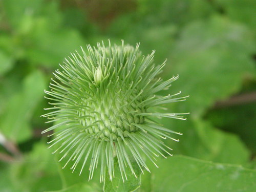 e0017396_0415196.jpg