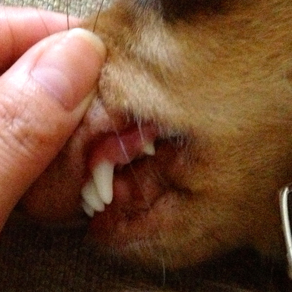 e0007801_1372330.jpg