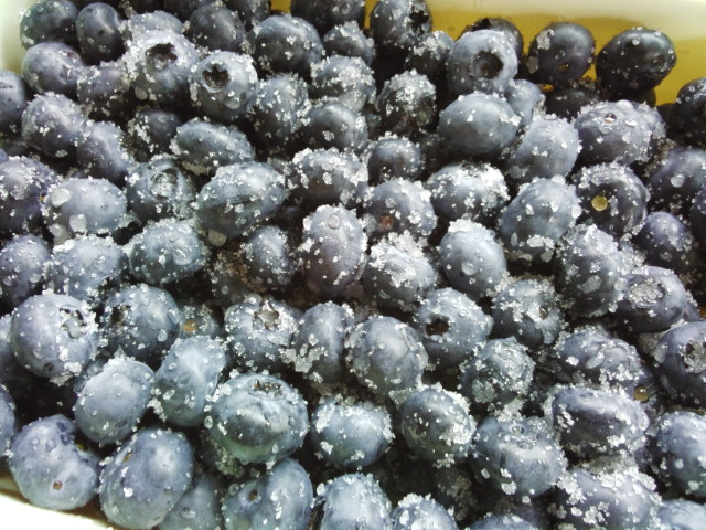 c0007502_228440.jpg