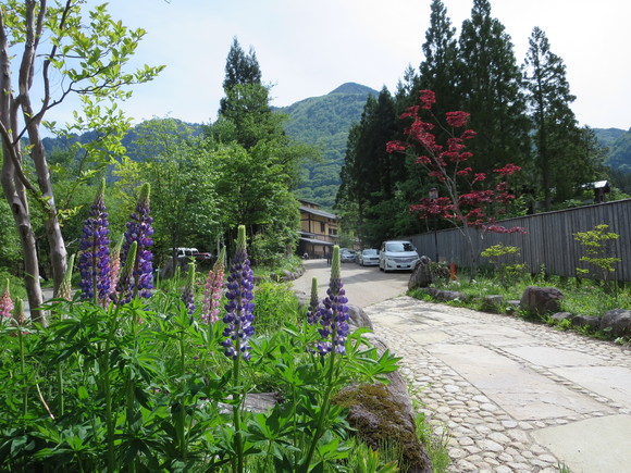 b0093515_23394759.jpg