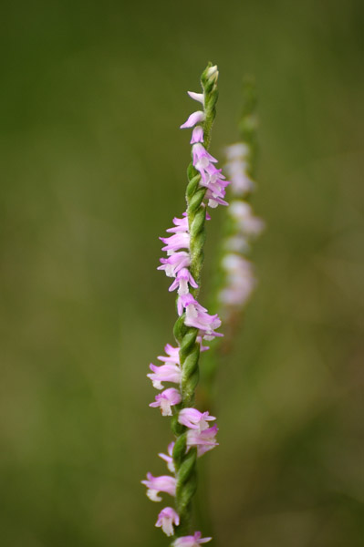 f0206417_12254826.jpg
