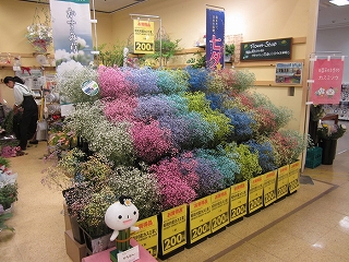 c0189218_8533159.jpg