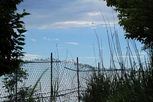 b0146723_23161317.jpg