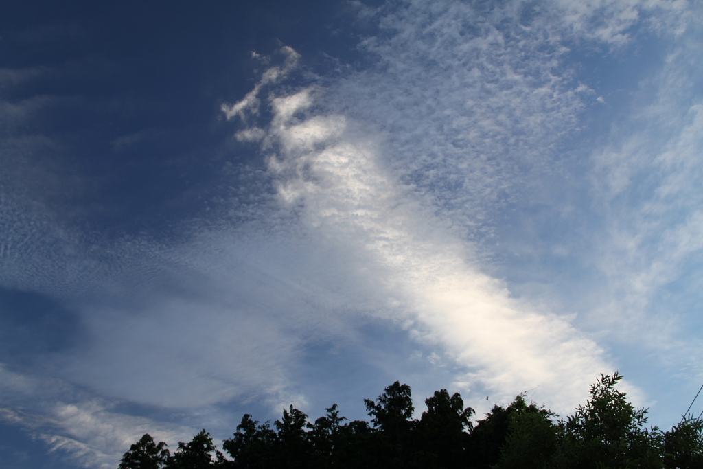 d0240223_6263249.jpg