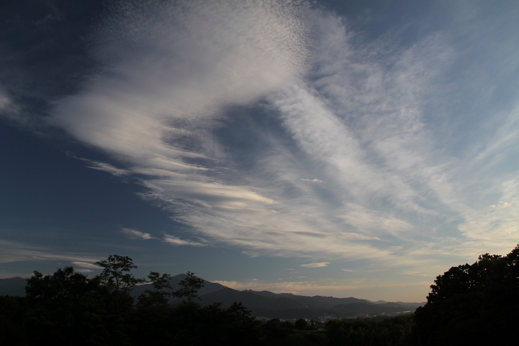 d0240223_6265168.jpg
