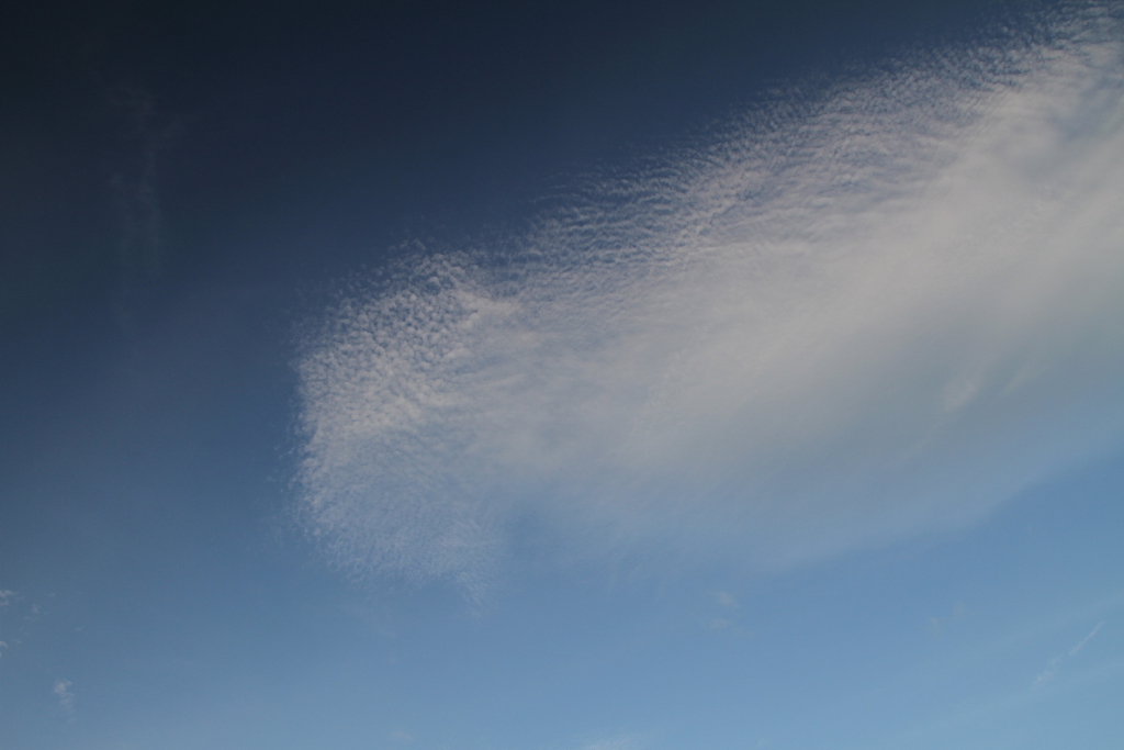 d0240223_627848.jpg