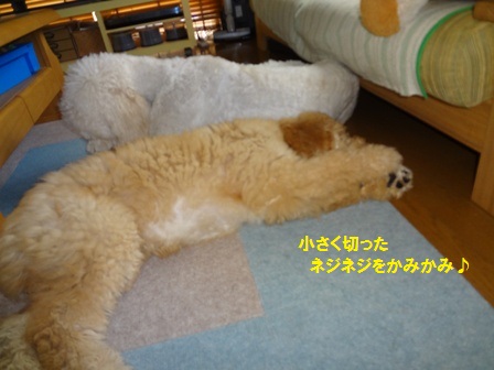 c0254426_0225736.jpg