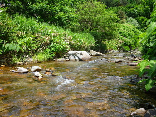 b0195927_22345476.jpg