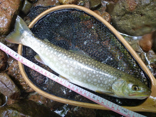 b0195927_22554537.jpg
