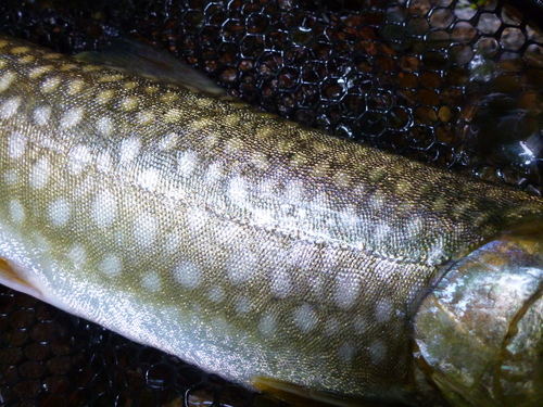 b0195927_22591229.jpg