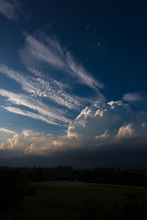 b0134829_20404695.jpg