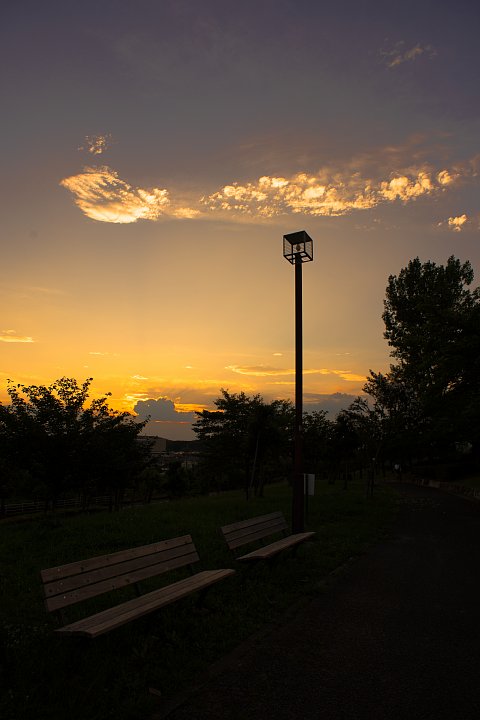b0134829_20411980.jpg