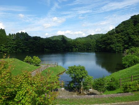 d0104029_17294896.jpg