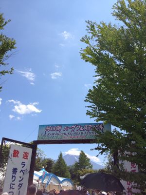 b0206831_1931126.jpg