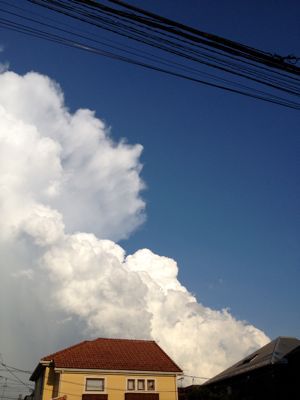 b0206831_19331716.jpg
