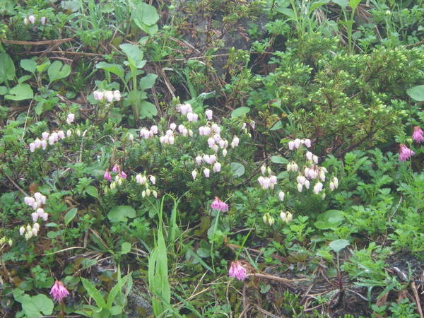 f0118332_2125619.jpg