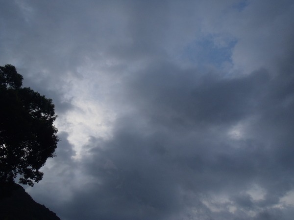 a0054240_0251984.jpg