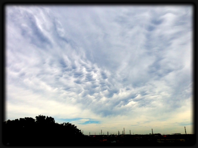 e0206242_5101047.jpg
