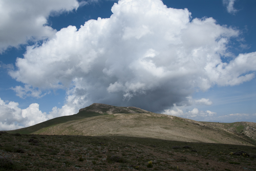 b0006449_6403716.jpg