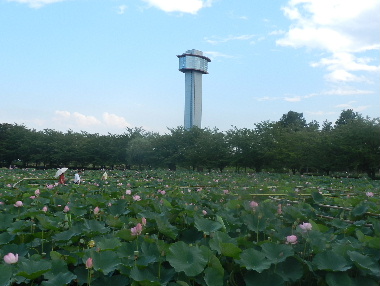 e0172950_19502667.jpg