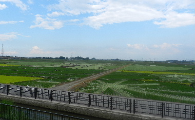 e0172950_19503925.jpg