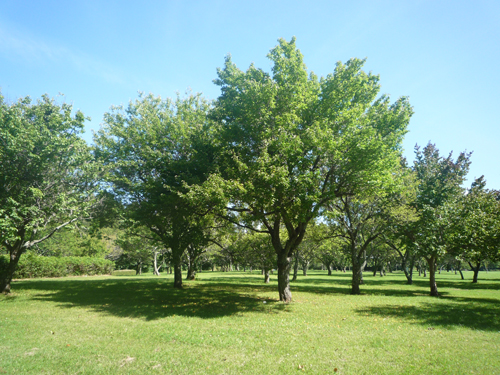 b0045357_13462831.jpg