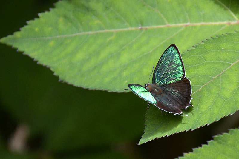 c0043361_23174946.jpg