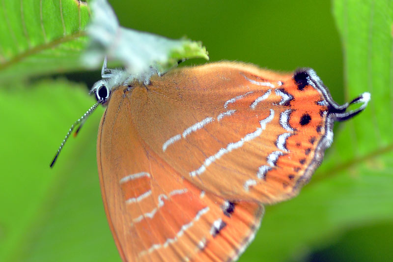 c0043361_238772.jpg