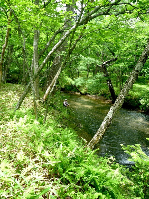 f0163561_1614278.jpg