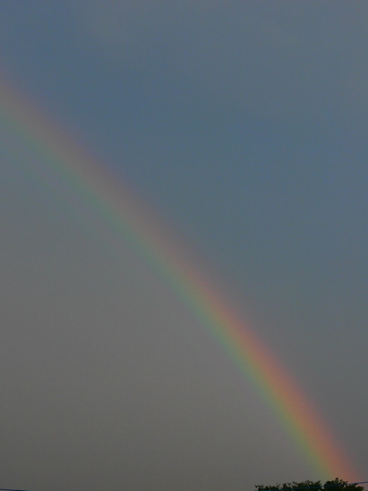 a0073065_20501060.jpg