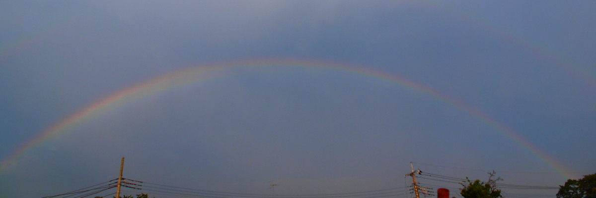 a0073065_20514339.jpg
