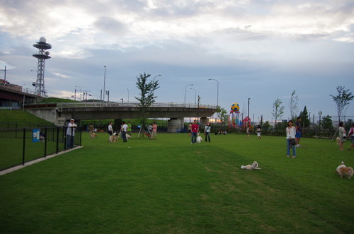 c0298565_11181379.jpg