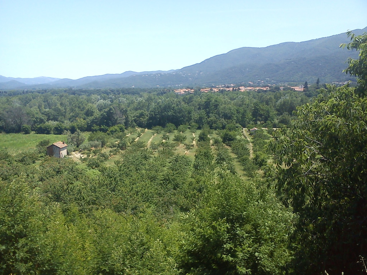 f0241468_023546.jpg