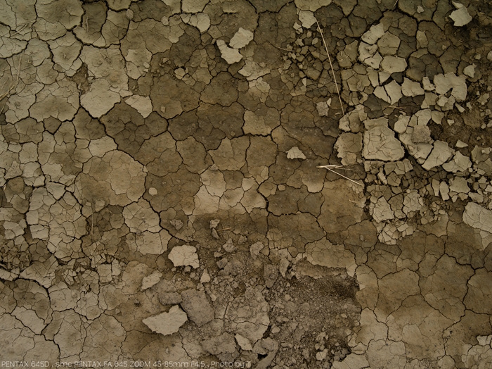 c0237871_2036672.jpg