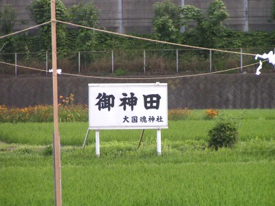 c0112172_127129.jpg