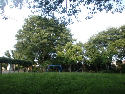 c0112172_1281180.jpg