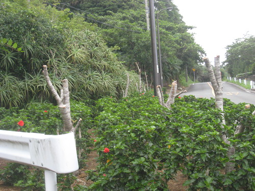e0292172_20332936.jpg