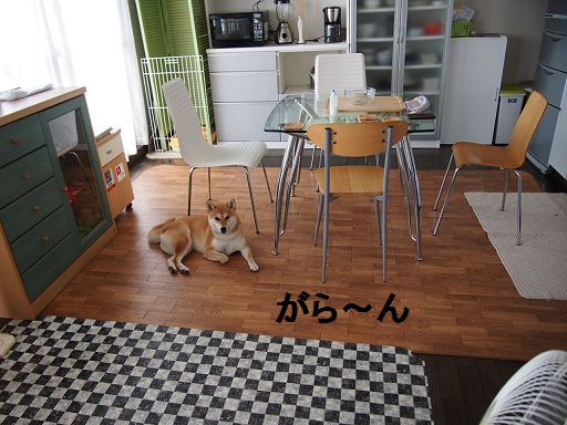 f0253473_2195077.jpg