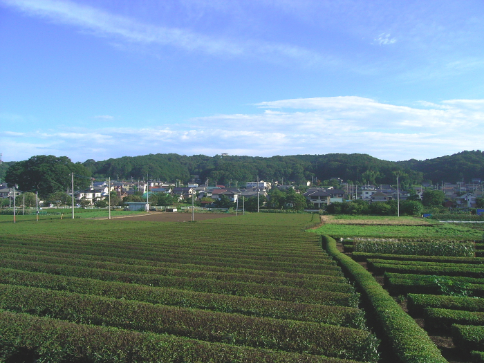 d0225575_7443181.jpg
