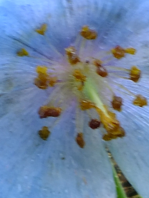 e0145782_15152088.jpg