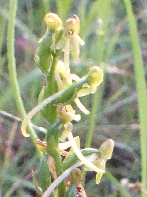 e0145782_15271638.jpg