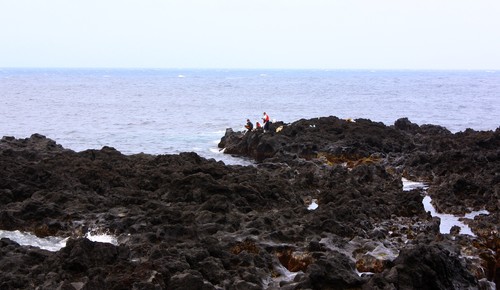 c0204385_8423526.jpg