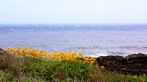 c0204385_8432786.jpg