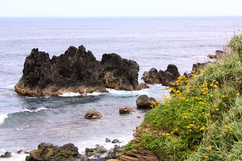 c0204385_8441189.jpg