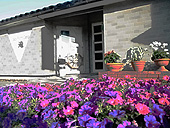 d0329286_15553175.jpg