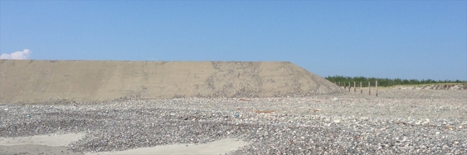 c0170789_17405377.jpg