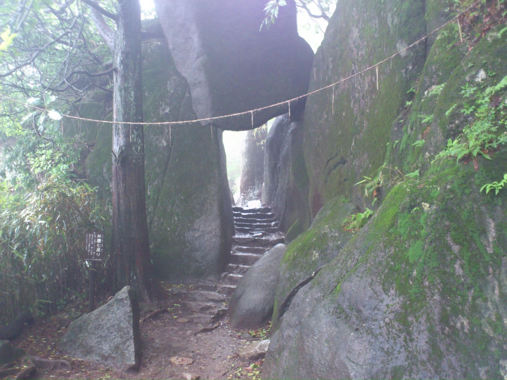 d0147789_13262850.jpg