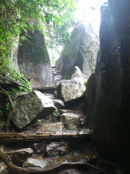 d0147789_1327968.jpg