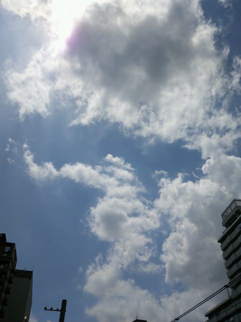 f0085495_2313644.jpg