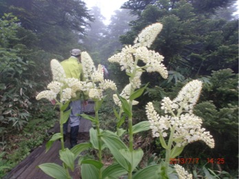 c0151898_20564835.jpg